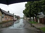 Třibřichy